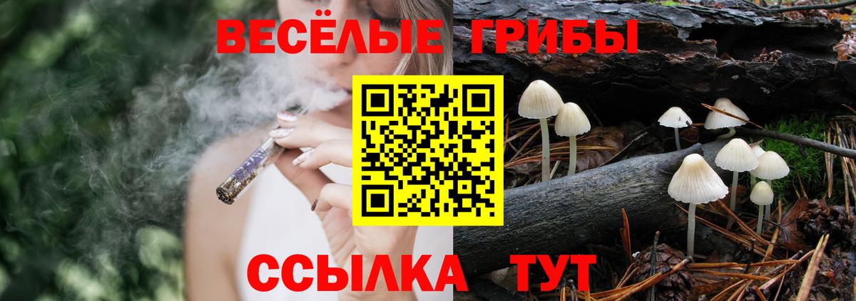 Родники  Псилоцибиновые грибы Psilocybine cubensis  Вход с VPN 